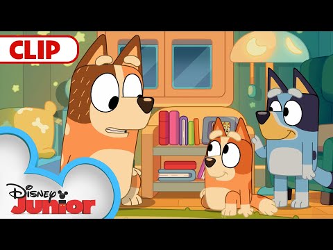 Bluey Season 3 Episode 1 \