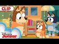 Bluey Season 3 Episode 1 &quot;Bedroom&quot; Episode Clip | @disneyjunior | @BlueyOfficialChannel