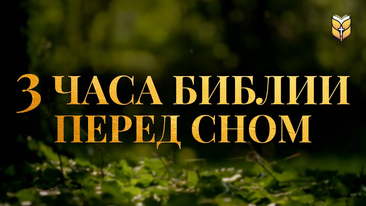 3 часа Библии на перед сном. Современный перевод Библии #biblevision