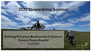 Evening Primrose Biodiversity in Eastern Contra Costa County