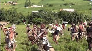 ZULU KINGS PRAISE POETS: By Ntokozo Ndlovu