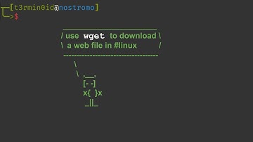 use wget to download a web file in #linux