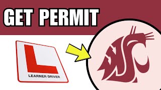 How To Get Learner’s Permit In Washington State