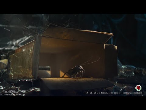 Showreel - Thomas