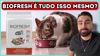 Is Biofresh Cat Food Good Complete And Updated Analysis 2025