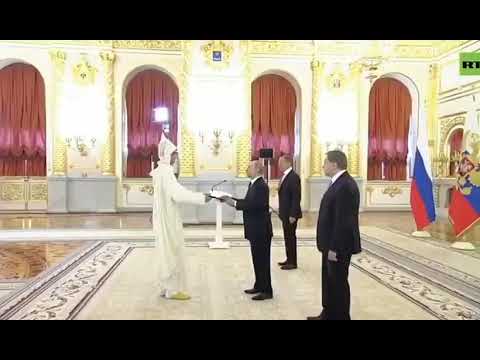 На Церемонии Вручения Верительных Грамот В Кермле Посол Марокко Появился В Костюме Спераматозоида