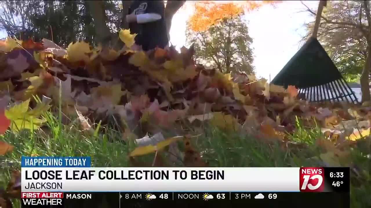Jackson launches loose-leaf collection program - YouTube