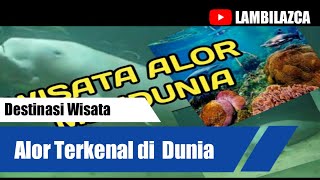 Taman Laut Alor Terindah di Dunia | Wisata Alor