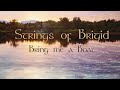 Strings of Brigid- "Bring Me a Boat" Lyric video