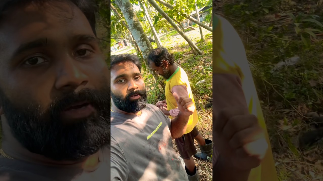 A Day in my life  🐄  മൃഗഡോക്ടർ ലൈഫ് 💕/ daily case / duty #cow #doctor #farming