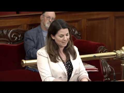 Meg Webb MLC Reply Premier's State of the State 2020 March 19, 2020