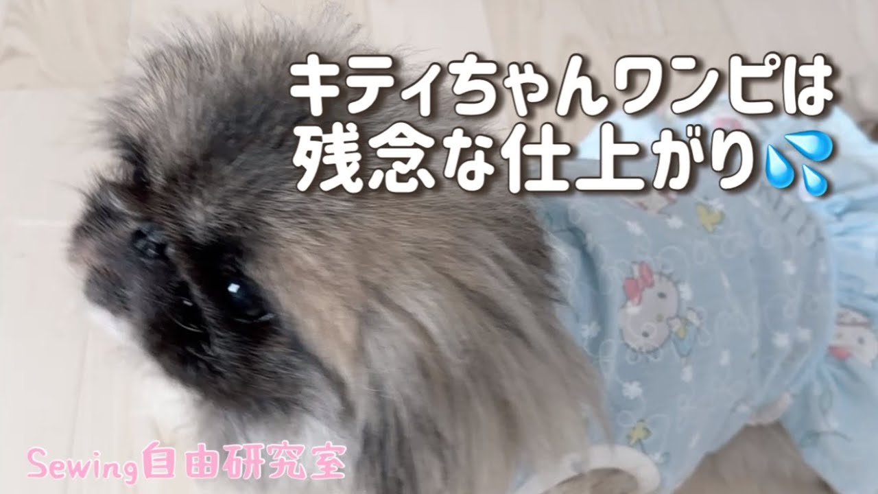 わんこ服】失敗は次に活かそう！ツッコミどころ満載のワンピ作り
