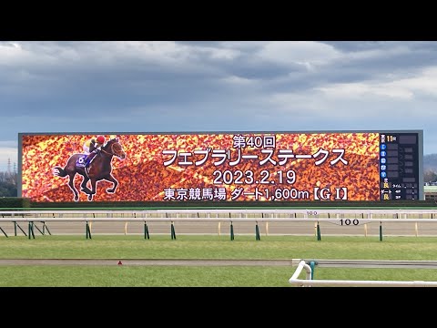 2023年 第40回フェブラリーS レース前映像 ファンファーレ 東京競馬場にて
