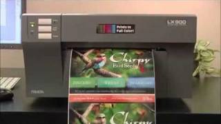 Primera LX900 Colour Label Printer by Label Power