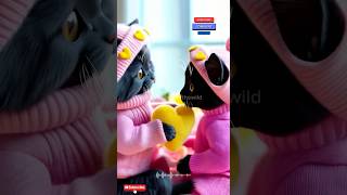 Download Lagu You Won’t Believe This! Must-Watch Viral Video! 😱🔥 #shorts #fyp #foryou MP3