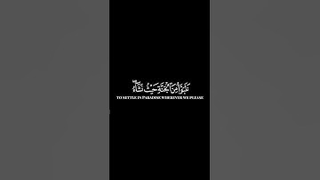 كرومات ايات قرانية شاشة سوداء || سورة الزمر  للقارئ  بيشوا قادر #سورة_الزمر #بيشوا_الكردي _الكردي