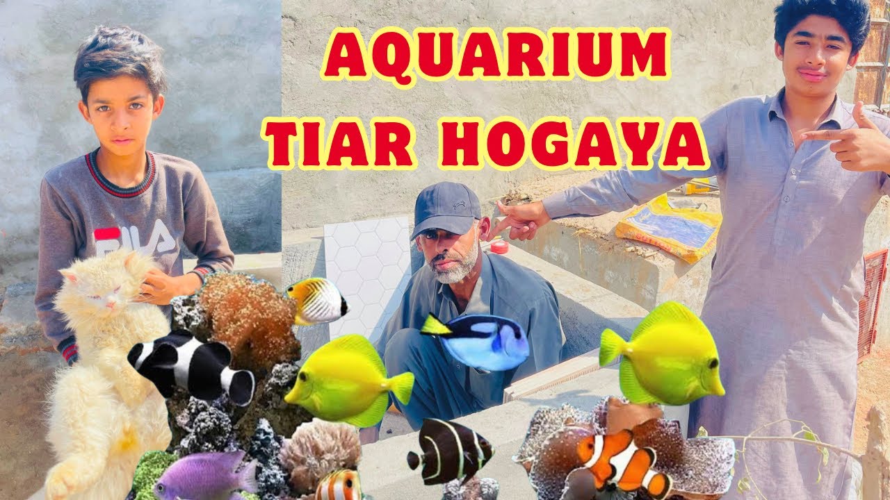 HAMARA FISH AQUARIUM TIAR HOGEA HAI - YouTube