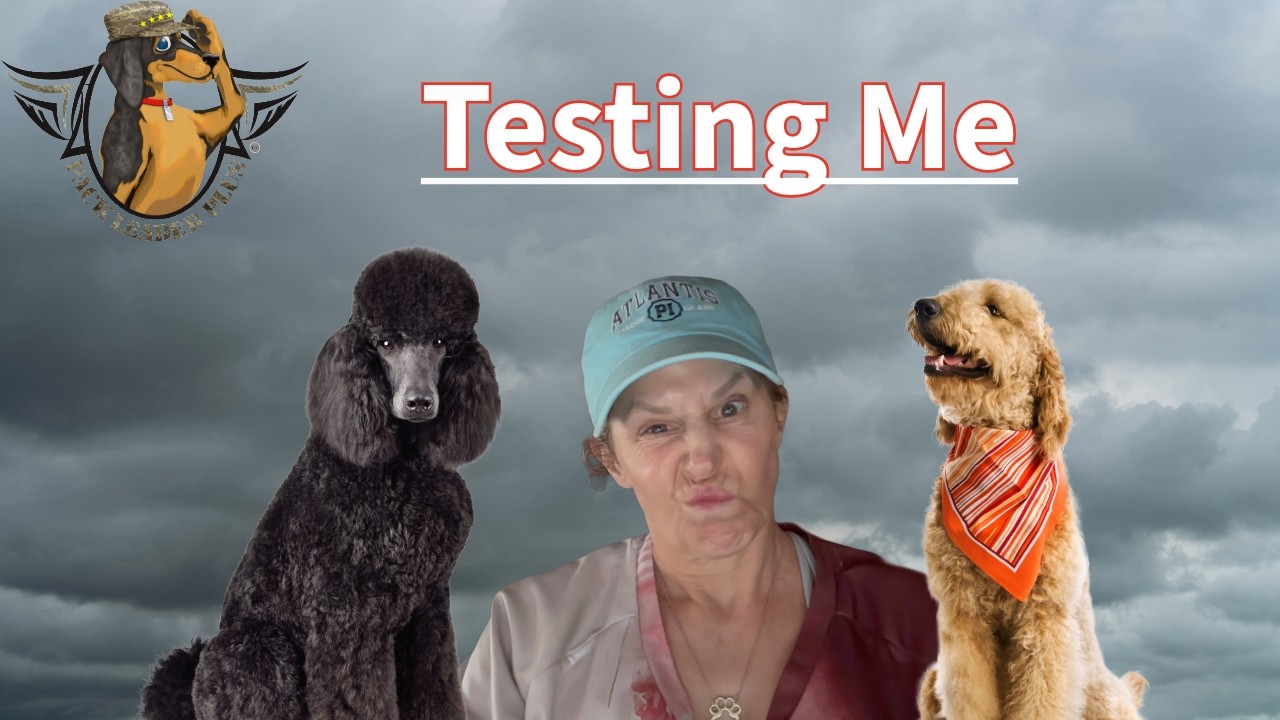 The hike seemed normal than then…