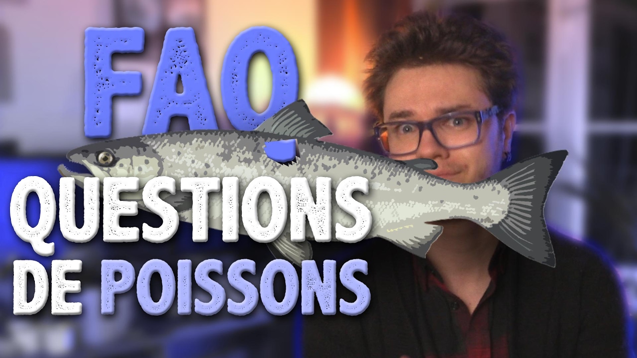 RÉCRÉ #12 : FAQ Spéciale Poissons