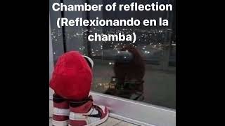 Chamber Of Reflection (Reflexión en la Chamba)