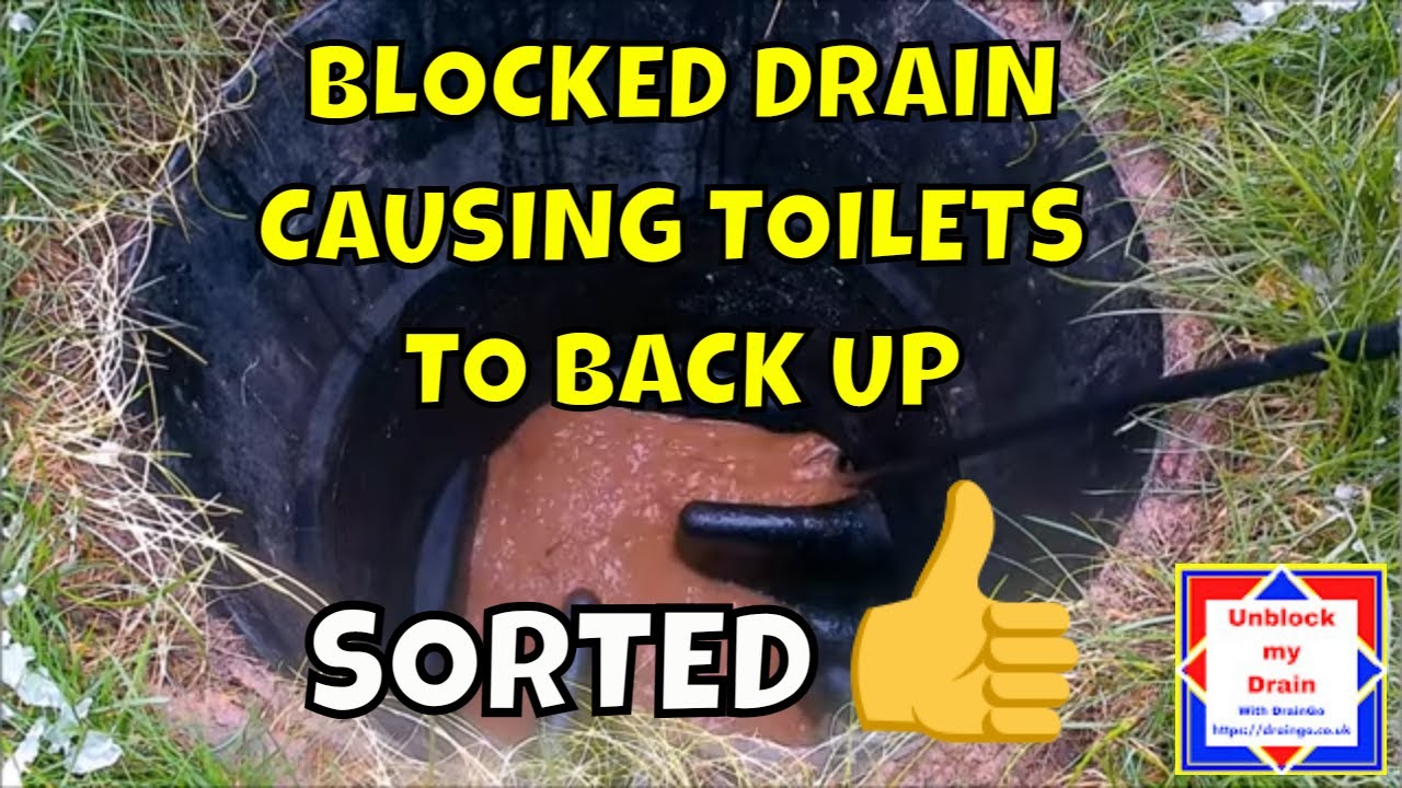 Blocked drain and toilet YouTube