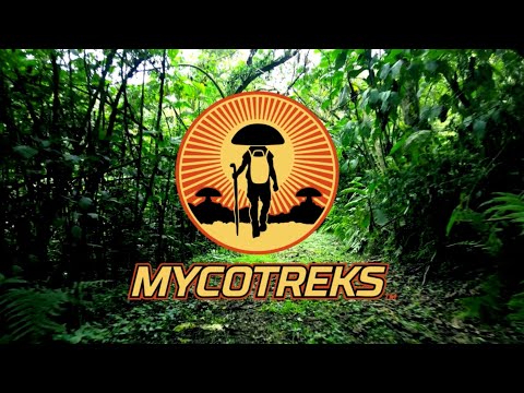 Find Your People with MycoTreks™