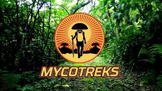 Find Your People with MycoTreks™ @mycoGeeky