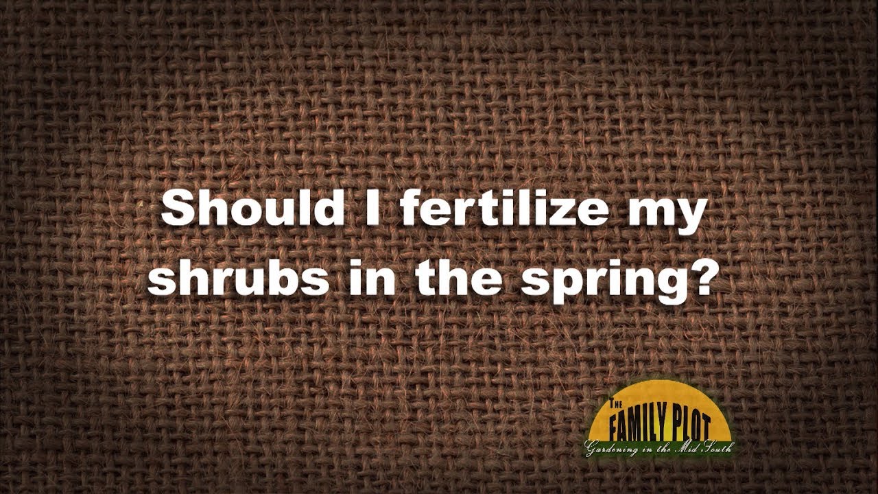 q-a-should-i-fertilize-my-shrubs-in-the-spring-youtube