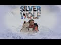 Silver wolf 1999  full movie  michael biehn  roy scheider  shane meier