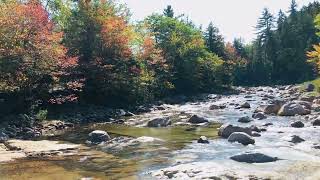 Swift River during Fall Foliage