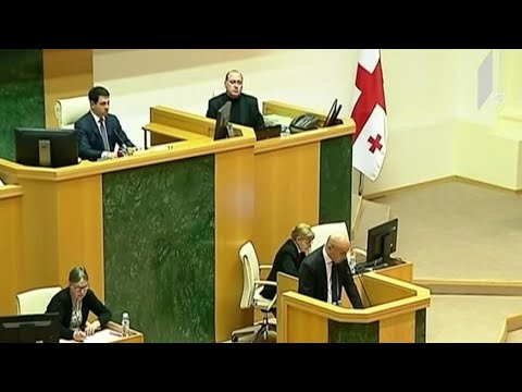 ფინანსთა მინისტრი პარლამენტში