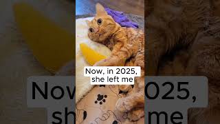 Goodbye, Ginger 💔