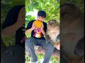 R.anh con ước biến thành khỉ leo cây và cái kết #shortvideo #funny