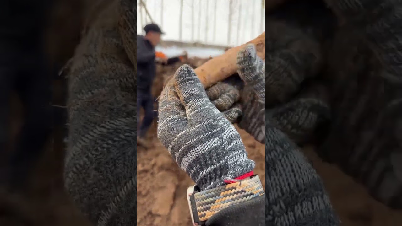 Flowing endlessly, searching for a future shore