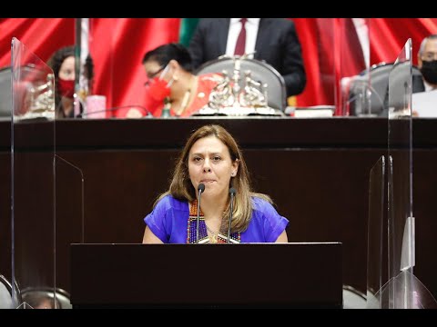 Dip. Cristina Castillo (PAN) - Dictamen que expide la Ley de la Fiscalía General de la República.