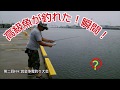 仙台新港で【釣り】とんでもない大記録❗
