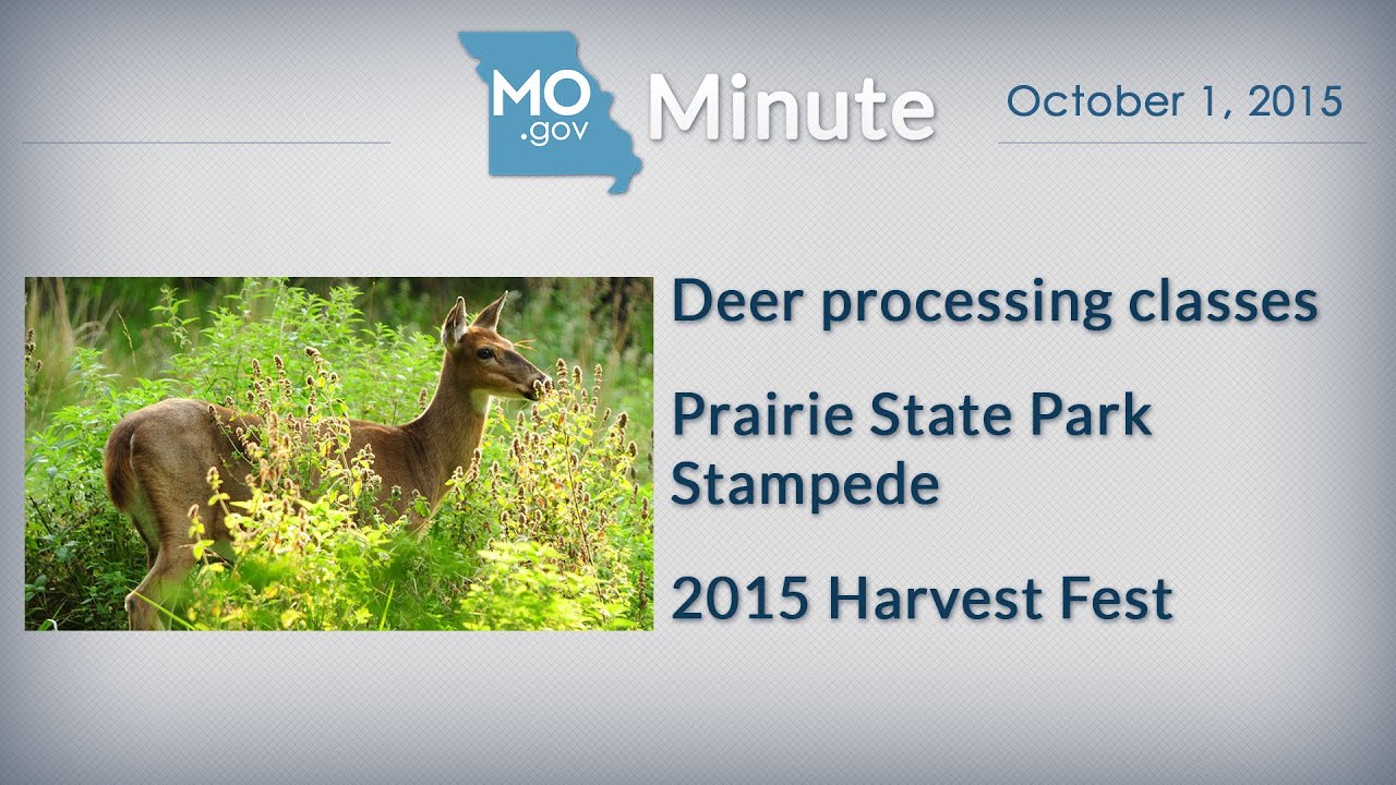 missouri government test MoGov Minute - October 1, 2015