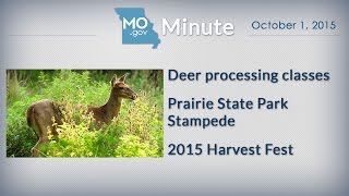 MoGov Minute - October 1, 2015