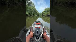 WATCH this!! 🤪 #kayakfishing