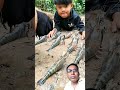 #seafood #survivalskills #fishing #primitive #food #outdoorsurvival #mukbang #primitivesurvival #coo
