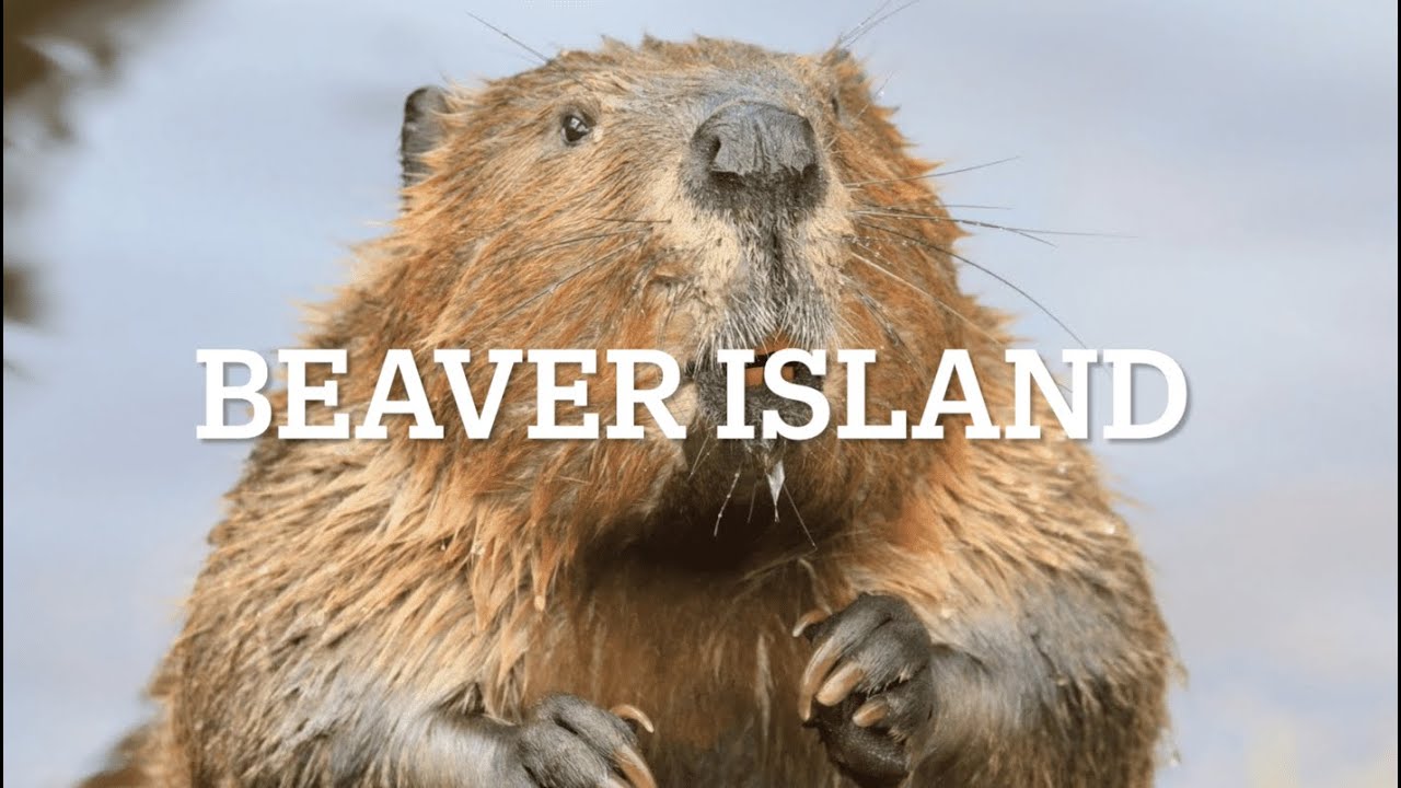 Our Trip to Beaver Island