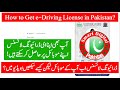 How to download e-driving license in Punjab? how to download digital driving license online