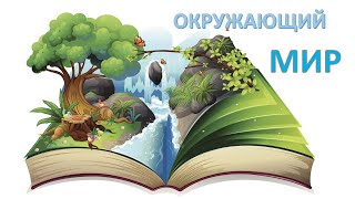 Окружающий мир. Природа весной.