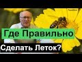 №121 Где Правильно Сделать Леток? | Пчелиные улья | Медосбор | Взяток  | Пчеловодство | Пасека