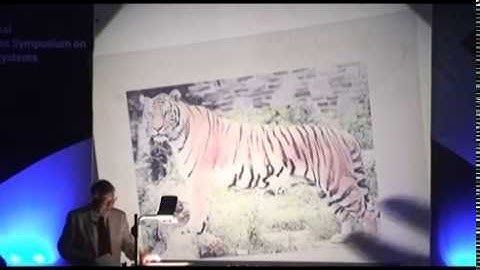 Edge of Chaos (Full video)