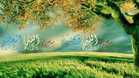 المصحف المرتل للشيخ محمود خليل الحصري - نسخة الإذاعة بالصدى - سورة ق 050