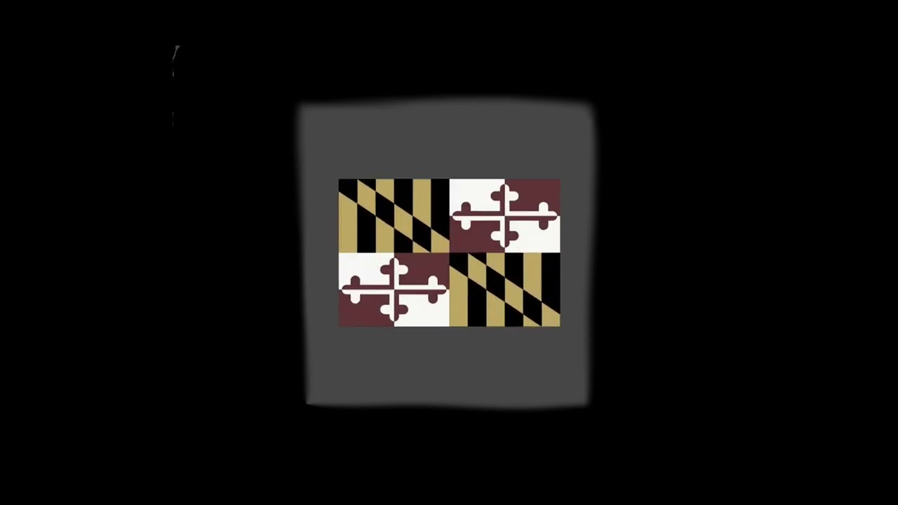 States of United States Flag band horror