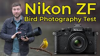 Nikon ZF for Bird Photography - Tested and Reviewed