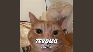 Download lagu Tekomu