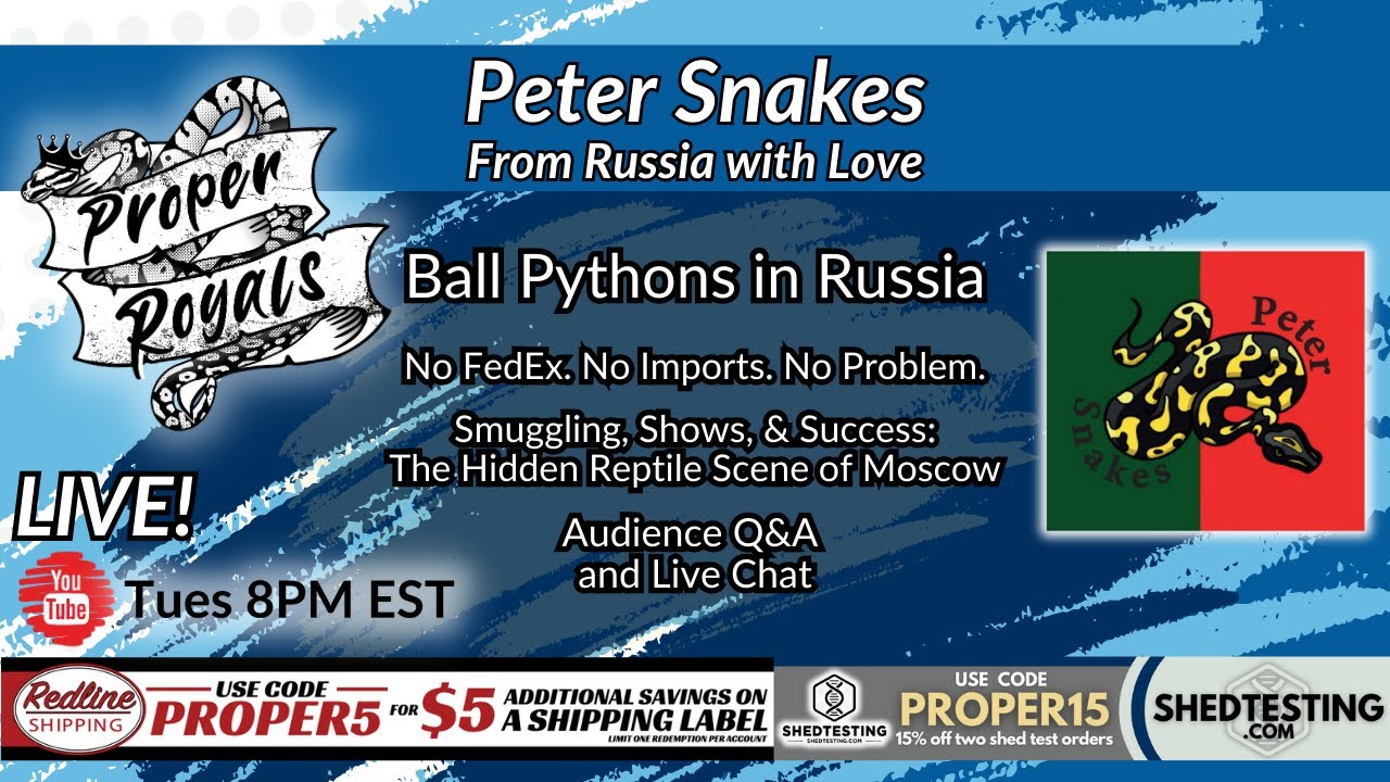 Ball Pythons Behind Borders: Peter Snakes Frm Russia with Love! - YouTube